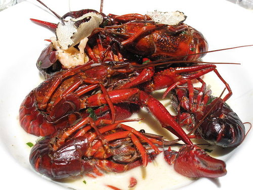 Have You Ever Eaten Crawfish?