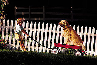 Neighbors Dog Names