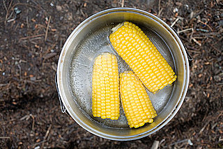 How Do You Feel About Corn on the Cob?