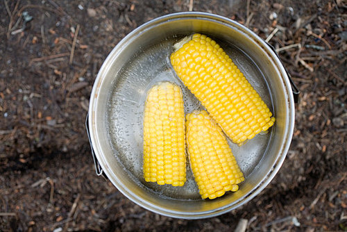 How Do You Feel About Corn on the Cob?