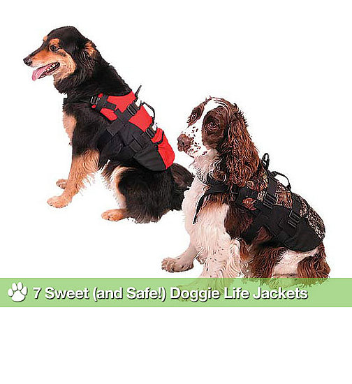 Life Jackets For Dogs