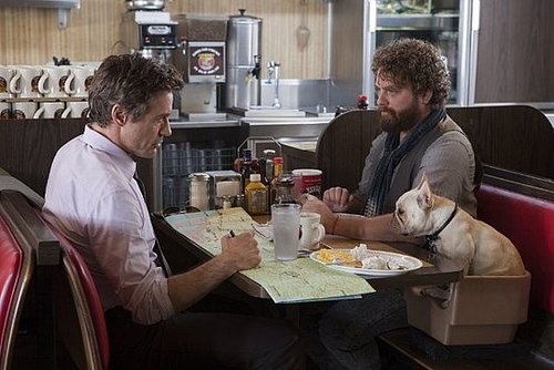 Movie Preview For Due Date Starring Zach Galifianakis and Robert Downey Jr.