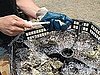 Burning Question: Can You Eat Oysters in Months Without an R?