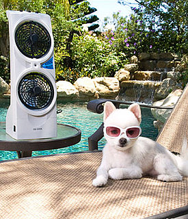 Misting Fan For Dogs