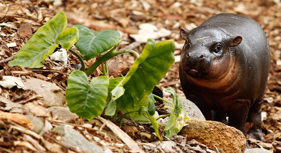Kambiri Has a Mama That Loves Her! Kambiri Has a Mama That Loves Her!