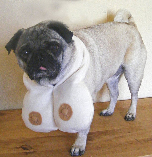 Brilliant or Baffling: Doggie Boobs R Us? Brilliant or Baffling: Doggie Boobs R Us?