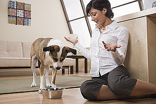 Advice For Dog Dehydration