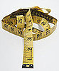 Waist Circumference More Important For Measuring Health Than BMI