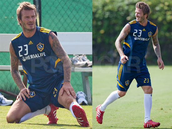 Pictures of David Beckham
