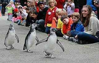 Parenting Blogs on OnSugar 2010-08-15 04:00:41