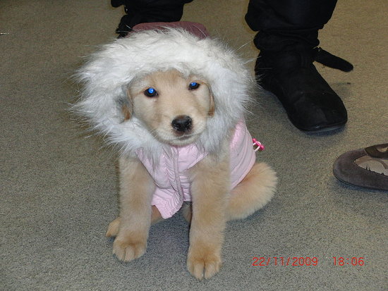 Two months old in her jacket