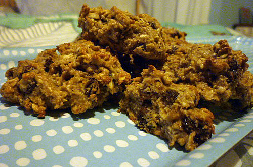 Oatmeal Wheat Germ Chocolate Chip Cookie Recipe