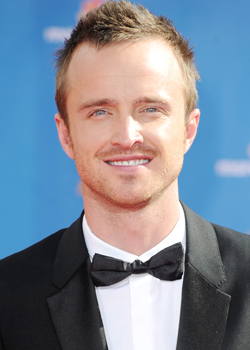 Aaron Paul Is the 2010 Emmy Winner for Outstanding Supporting Actor in a Drama