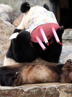 Happy Fourth Birthday, Funi!
