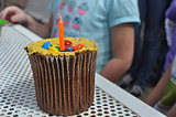 Giant Cupcake Birthday Cakes