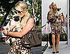 Pictures of Paris Hilton Shopping With New Pug Mugsy