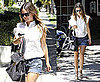 Pictures of Rachel Bilson