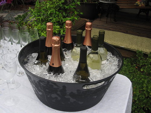 Do You Own a Party Drink Bucket?
