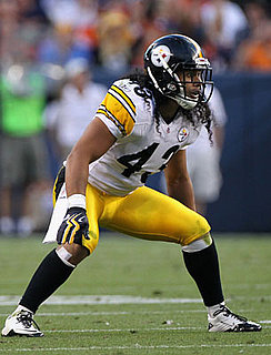 Troy Polamalu of the Pittsburgh Steelers Has Hair Insured For $1 Million