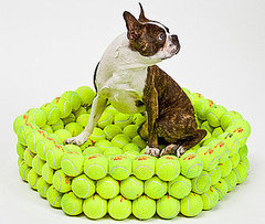 Dog Bed Made of Tennis Balls
