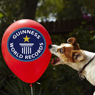 What Animals Set Guinness World Records? What Animals Set Guinness World Records?