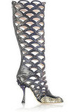 Shoe of the Day