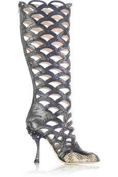 Shoe of the Day