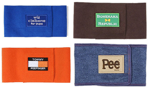 Shopping For Bellybands