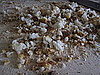 How to Make Breadcrumbs Without a Food Processor 2010-09-27 10:20:57
