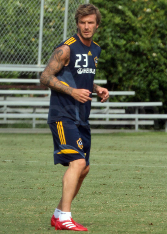 Pictures of David Beckham Pictures of David Beckham