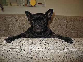 Pictures of Francesca