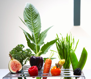 Do You Know Which Foods Are Richer in Antioxidants?