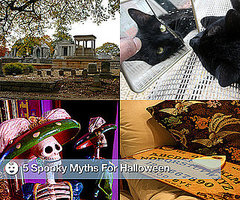 Scary Halloween Myths