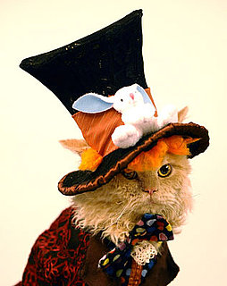 Halloween Costumes For Pets