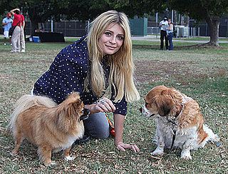 Pictures of Mischa Barton and Dogs at the Pup-Peroni LA Event