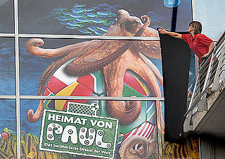 Pictures of Paul the Octopus Predicting Soccer Results