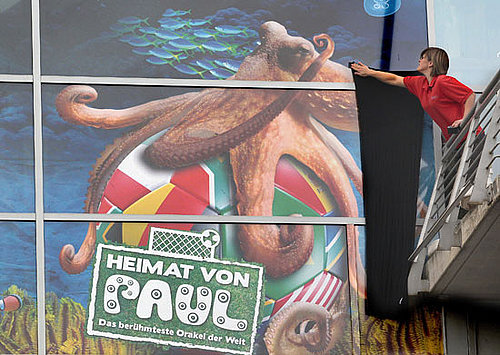 Pictures of Paul the Octopus Predicting Soccer Results