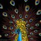 bejewelled bejewelled