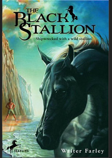 The Black Stallion The Black Stallion