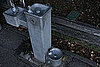 Does a Dog Get His Own Water Fountain in Your City?