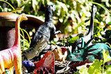 Facts About Dinosaurs Facts About Dinosaurs