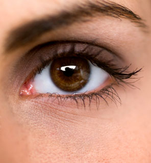 Definition of Browtox