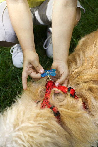 Would You Put a Pet's Name? Would You Put a Pet's Name?
