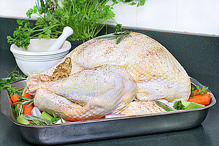 Thanksgiving Turkey Tip
