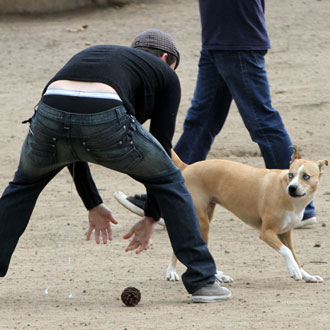 Guess Who Showed Off His Briefs at the Dog Park? Guess Who Showed Off His Briefs at the Dog Park?