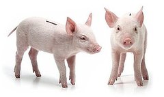 Weird Piggy Banks Weird Piggy Banks