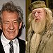 Ian McKellen as Dumbledore