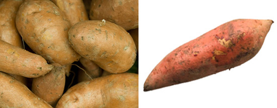 Yams vs. Sweet Potatoes Yams vs. Sweet Potatoes