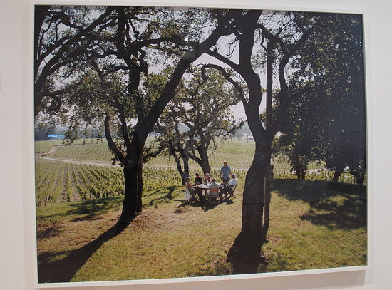 Winery design: Scribe, Sonoma
