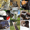 Zoo Babies Born in 2010